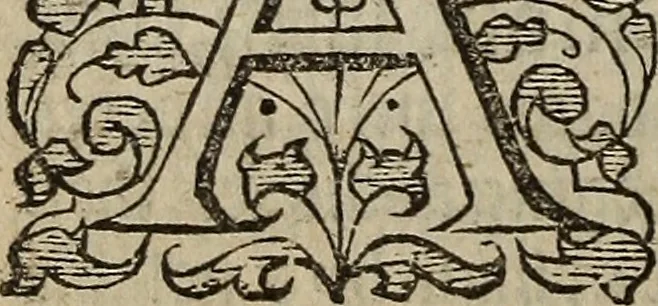 An illustration from The discouerie of witchcraft, : wherein the lewde dealing of witches and witchmongers is notablie detected, the knauerie of coniurors, the impietie of inchantors, the follie of soothsaiers, the impudent falshood of cousenors, the infidelitie of atheists, the pestilent practices of Pythonists, the curiositie of figure casters, the vanitie of dreamers, the beggerlie art of alcumystrie, the abhomination of idolatrie, the horrible art of poisoning, the vertue and power of naturall magike, and all the conueiances of legierdemaine and iuggling are deciphered: and many other things opened, which have long lien hidden, howbeit verie necessarie to be knowne. : Heerevnto is added a treatise vpon the nature and substance of spirits and diuels, & c, 1584, leaf 101