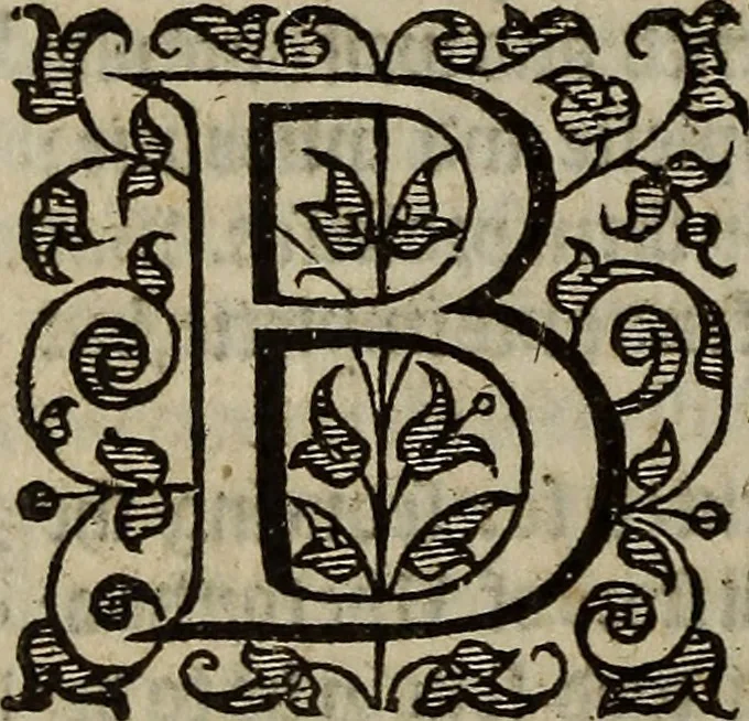 An illustration from The discouerie of witchcraft, : wherein the lewde dealing of witches and witchmongers is notablie detected, the knauerie of coniurors, the impietie of inchantors, the follie of soothsaiers, the impudent falshood of cousenors, the infidelitie of atheists, the pestilent practices of Pythonists, the curiositie of figure casters, the vanitie of dreamers, the beggerlie art of alcumystrie, the abhomination of idolatrie, the horrible art of poisoning, the vertue and power of naturall magike, and all the conueiances of legierdemaine and iuggling are deciphered: and many other things opened, which have long lien hidden, howbeit verie necessarie to be knowne. : Heerevnto is added a treatise vpon the nature and substance of spirits and diuels, & c, 1584, leaf 105