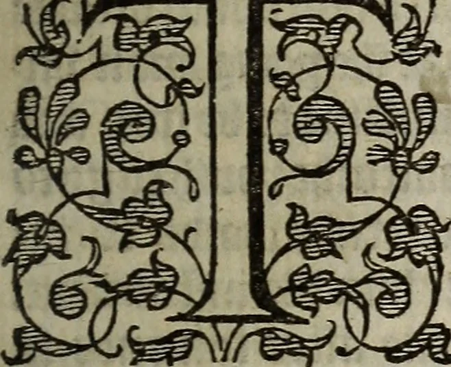 An illustration from The discouerie of witchcraft, : wherein the lewde dealing of witches and witchmongers is notablie detected, the knauerie of coniurors, the impietie of inchantors, the follie of soothsaiers, the impudent falshood of cousenors, the infidelitie of atheists, the pestilent practices of Pythonists, the curiositie of figure casters, the vanitie of dreamers, the beggerlie art of alcumystrie, the abhomination of idolatrie, the horrible art of poisoning, the vertue and power of naturall magike, and all the conueiances of legierdemaine and iuggling are deciphered: and many other things opened, which have long lien hidden, howbeit verie necessarie to be knowne. : Heerevnto is added a treatise vpon the nature and substance of spirits and diuels, & c, 1584, leaf 110