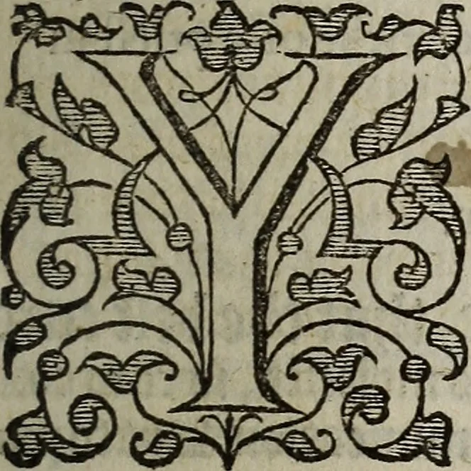An illustration from The discouerie of witchcraft, : wherein the lewde dealing of witches and witchmongers is notablie detected, the knauerie of coniurors, the impietie of inchantors, the follie of soothsaiers, the impudent falshood of cousenors, the infidelitie of atheists, the pestilent practices of Pythonists, the curiositie of figure casters, the vanitie of dreamers, the beggerlie art of alcumystrie, the abhomination of idolatrie, the horrible art of poisoning, the vertue and power of naturall magike, and all the conueiances of legierdemaine and iuggling are deciphered: and many other things opened, which have long lien hidden, howbeit verie necessarie to be knowne. : Heerevnto is added a treatise vpon the nature and substance of spirits and diuels, & c, 1584, leaf 112