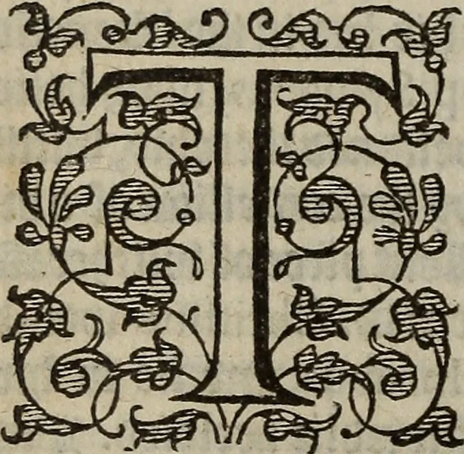 An illustration from The discouerie of witchcraft, : wherein the lewde dealing of witches and witchmongers is notablie detected, the knauerie of coniurors, the impietie of inchantors, the follie of soothsaiers, the impudent falshood of cousenors, the infidelitie of atheists, the pestilent practices of Pythonists, the curiositie of figure casters, the vanitie of dreamers, the beggerlie art of alcumystrie, the abhomination of idolatrie, the horrible art of poisoning, the vertue and power of naturall magike, and all the conueiances of legierdemaine and iuggling are deciphered: and many other things opened, which have long lien hidden, howbeit verie necessarie to be knowne. : Heerevnto is added a treatise vpon the nature and substance of spirits and diuels, & c, 1584, leaf 113