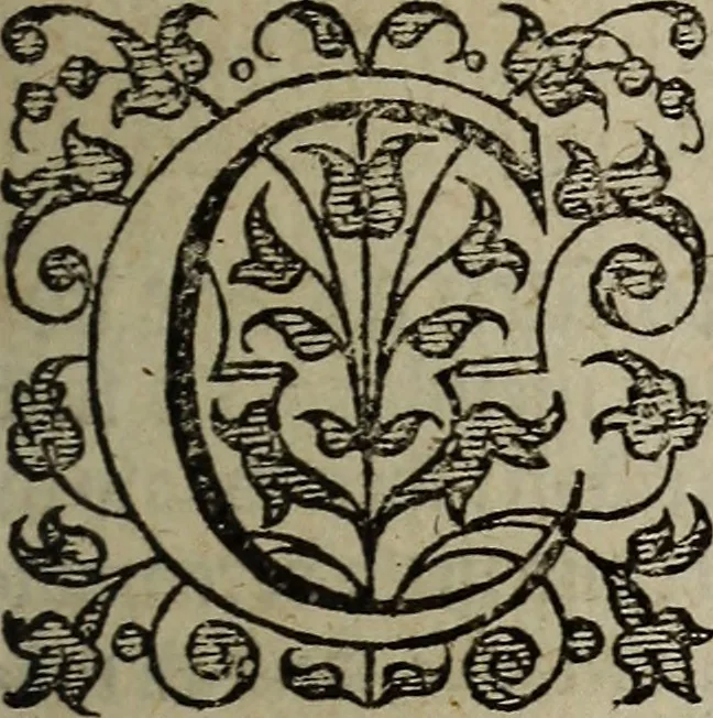 An illustration from The discouerie of witchcraft, : wherein the lewde dealing of witches and witchmongers is notablie detected, the knauerie of coniurors, the impietie of inchantors, the follie of soothsaiers, the impudent falshood of cousenors, the infidelitie of atheists, the pestilent practices of Pythonists, the curiositie of figure casters, the vanitie of dreamers, the beggerlie art of alcumystrie, the abhomination of idolatrie, the horrible art of poisoning, the vertue and power of naturall magike, and all the conueiances of legierdemaine and iuggling are deciphered: and many other things opened, which have long lien hidden, howbeit verie necessarie to be knowne. : Heerevnto is added a treatise vpon the nature and substance of spirits and diuels, & c, 1584, leaf 114