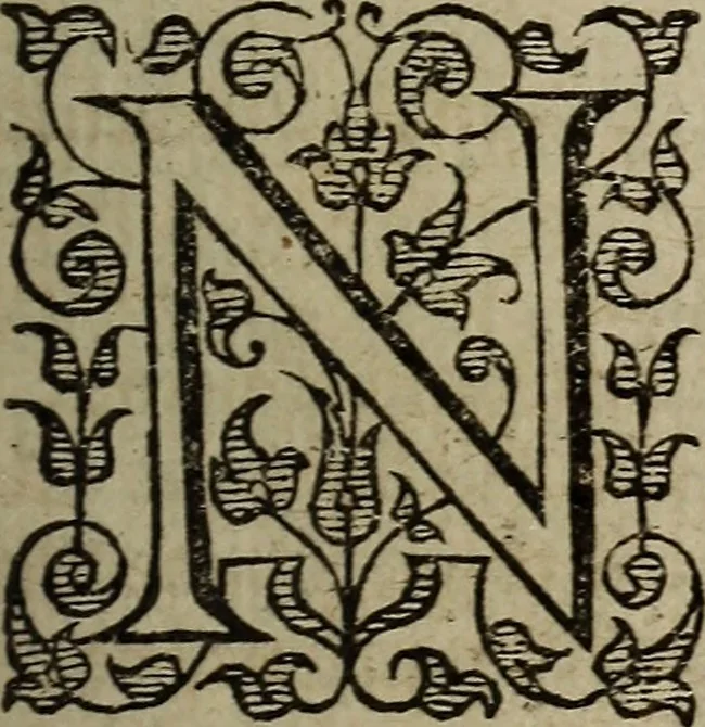 An illustration from The discouerie of witchcraft, : wherein the lewde dealing of witches and witchmongers is notablie detected, the knauerie of coniurors, the impietie of inchantors, the follie of soothsaiers, the impudent falshood of cousenors, the infidelitie of atheists, the pestilent practices of Pythonists, the curiositie of figure casters, the vanitie of dreamers, the beggerlie art of alcumystrie, the abhomination of idolatrie, the horrible art of poisoning, the vertue and power of naturall magike, and all the conueiances of legierdemaine and iuggling are deciphered: and many other things opened, which have long lien hidden, howbeit verie necessarie to be knowne. : Heerevnto is added a treatise vpon the nature and substance of spirits and diuels, & c, 1584, leaf 116