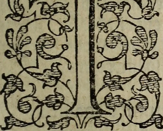 An illustration from The discouerie of witchcraft, : wherein the lewde dealing of witches and witchmongers is notablie detected, the knauerie of coniurors, the impietie of inchantors, the follie of soothsaiers, the impudent falshood of cousenors, the infidelitie of atheists, the pestilent practices of Pythonists, the curiositie of figure casters, the vanitie of dreamers, the beggerlie art of alcumystrie, the abhomination of idolatrie, the horrible art of poisoning, the vertue and power of naturall magike, and all the conueiances of legierdemaine and iuggling are deciphered: and many other things opened, which have long lien hidden, howbeit verie necessarie to be knowne. : Heerevnto is added a treatise vpon the nature and substance of spirits and diuels, & c, 1584, leaf 126