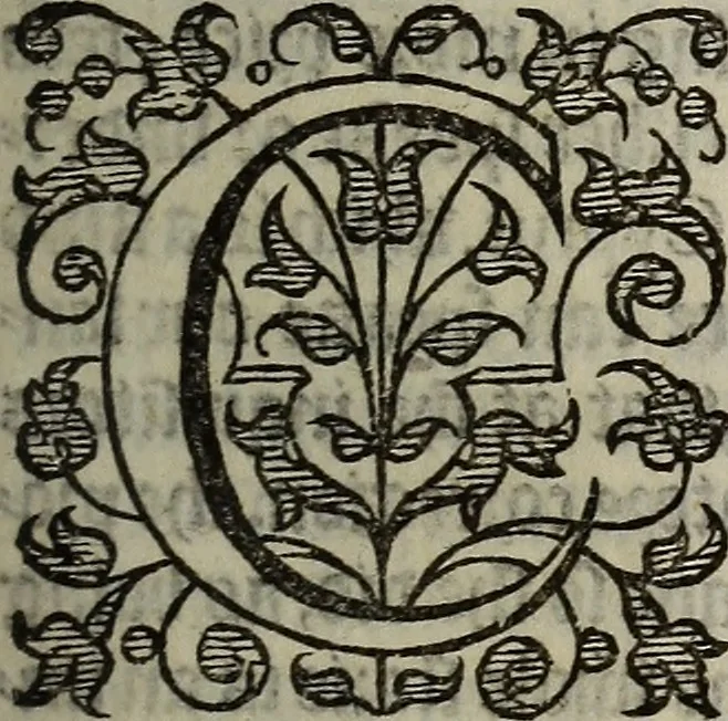 An illustration from The discouerie of witchcraft, : wherein the lewde dealing of witches and witchmongers is notablie detected, the knauerie of coniurors, the impietie of inchantors, the follie of soothsaiers, the impudent falshood of cousenors, the infidelitie of atheists, the pestilent practices of Pythonists, the curiositie of figure casters, the vanitie of dreamers, the beggerlie art of alcumystrie, the abhomination of idolatrie, the horrible art of poisoning, the vertue and power of naturall magike, and all the conueiances of legierdemaine and iuggling are deciphered: and many other things opened, which have long lien hidden, howbeit verie necessarie to be knowne. : Heerevnto is added a treatise vpon the nature and substance of spirits and diuels, & c, 1584, leaf 130