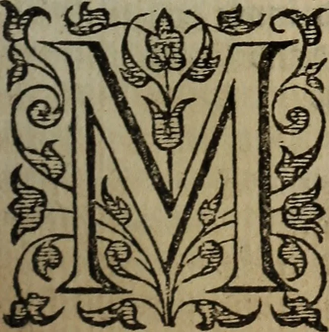 An illustration from The discouerie of witchcraft, : wherein the lewde dealing of witches and witchmongers is notablie detected, the knauerie of coniurors, the impietie of inchantors, the follie of soothsaiers, the impudent falshood of cousenors, the infidelitie of atheists, the pestilent practices of Pythonists, the curiositie of figure casters, the vanitie of dreamers, the beggerlie art of alcumystrie, the abhomination of idolatrie, the horrible art of poisoning, the vertue and power of naturall magike, and all the conueiances of legierdemaine and iuggling are deciphered: and many other things opened, which have long lien hidden, howbeit verie necessarie to be knowne. : Heerevnto is added a treatise vpon the nature and substance of spirits and diuels, & c, 1584, leaf 134