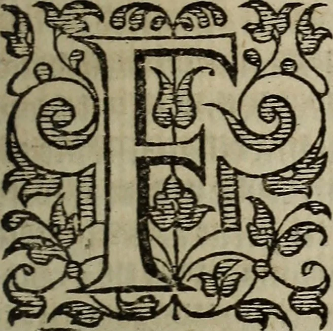 An illustration from The discouerie of witchcraft, : wherein the lewde dealing of witches and witchmongers is notablie detected, the knauerie of coniurors, the impietie of inchantors, the follie of soothsaiers, the impudent falshood of cousenors, the infidelitie of atheists, the pestilent practices of Pythonists, the curiositie of figure casters, the vanitie of dreamers, the beggerlie art of alcumystrie, the abhomination of idolatrie, the horrible art of poisoning, the vertue and power of naturall magike, and all the conueiances of legierdemaine and iuggling are deciphered: and many other things opened, which have long lien hidden, howbeit verie necessarie to be knowne. : Heerevnto is added a treatise vpon the nature and substance of spirits and diuels, & c, 1584, leaf 136
