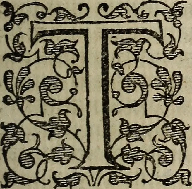An illustration from The discouerie of witchcraft, : wherein the lewde dealing of witches and witchmongers is notablie detected, the knauerie of coniurors, the impietie of inchantors, the follie of soothsaiers, the impudent falshood of cousenors, the infidelitie of atheists, the pestilent practices of Pythonists, the curiositie of figure casters, the vanitie of dreamers, the beggerlie art of alcumystrie, the abhomination of idolatrie, the horrible art of poisoning, the vertue and power of naturall magike, and all the conueiances of legierdemaine and iuggling are deciphered: and many other things opened, which have long lien hidden, howbeit verie necessarie to be knowne. : Heerevnto is added a treatise vpon the nature and substance of spirits and diuels, & c, 1584, leaf 138