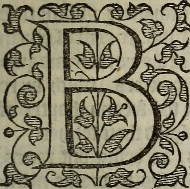 An illustration from The discouerie of witchcraft, : wherein the lewde dealing of witches and witchmongers is notablie detected, the knauerie of coniurors, the impietie of inchantors, the follie of soothsaiers, the impudent falshood of cousenors, the infidelitie of atheists, the pestilent practices of Pythonists, the curiositie of figure casters, the vanitie of dreamers, the beggerlie art of alcumystrie, the abhomination of idolatrie, the horrible art of poisoning, the vertue and power of naturall magike, and all the conueiances of legierdemaine and iuggling are deciphered: and many other things opened, which have long lien hidden, howbeit verie necessarie to be knowne. : Heerevnto is added a treatise vpon the nature and substance of spirits and diuels, & c, 1584, leaf 142