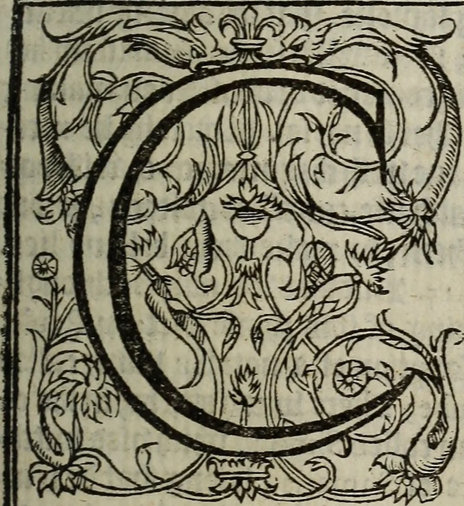 An illustration from The discouerie of witchcraft, : wherein the lewde dealing of witches and witchmongers is notablie detected, the knauerie of coniurors, the impietie of inchantors, the follie of soothsaiers, the impudent falshood of cousenors, the infidelitie of atheists, the pestilent practices of Pythonists, the curiositie of figure casters, the vanitie of dreamers, the beggerlie art of alcumystrie, the abhomination of idolatrie, the horrible art of poisoning, the vertue and power of naturall magike, and all the conueiances of legierdemaine and iuggling are deciphered: and many other things opened, which have long lien hidden, howbeit verie necessarie to be knowne. : Heerevnto is added a treatise vpon the nature and substance of spirits and diuels, & c, 1584, leaf 144