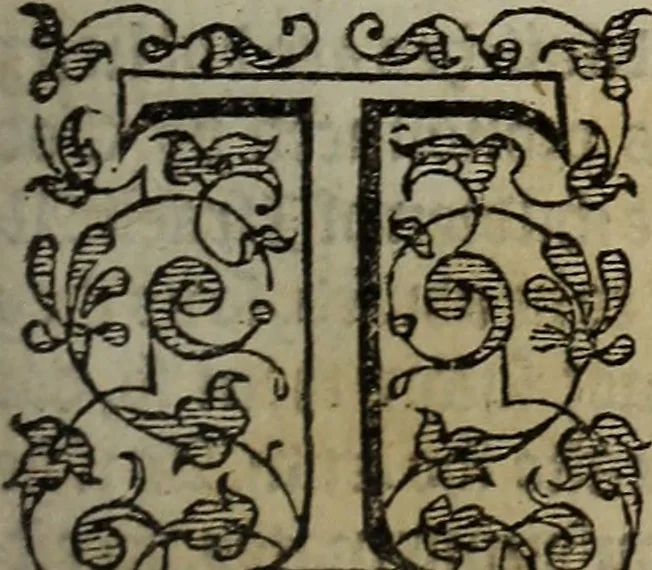 An illustration from The discouerie of witchcraft, : wherein the lewde dealing of witches and witchmongers is notablie detected, the knauerie of coniurors, the impietie of inchantors, the follie of soothsaiers, the impudent falshood of cousenors, the infidelitie of atheists, the pestilent practices of Pythonists, the curiositie of figure casters, the vanitie of dreamers, the beggerlie art of alcumystrie, the abhomination of idolatrie, the horrible art of poisoning, the vertue and power of naturall magike, and all the conueiances of legierdemaine and iuggling are deciphered: and many other things opened, which have long lien hidden, howbeit verie necessarie to be knowne. : Heerevnto is added a treatise vpon the nature and substance of spirits and diuels, & c, 1584, leaf 146