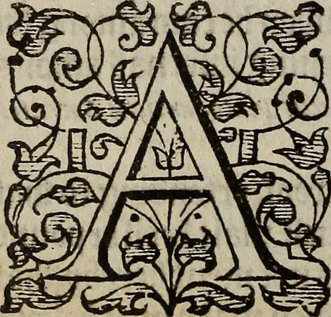 An illustration from The discouerie of witchcraft, : wherein the lewde dealing of witches and witchmongers is notablie detected, the knauerie of coniurors, the impietie of inchantors, the follie of soothsaiers, the impudent falshood of cousenors, the infidelitie of atheists, the pestilent practices of Pythonists, the curiositie of figure casters, the vanitie of dreamers, the beggerlie art of alcumystrie, the abhomination of idolatrie, the horrible art of poisoning, the vertue and power of naturall magike, and all the conueiances of legierdemaine and iuggling are deciphered: and many other things opened, which have long lien hidden, howbeit verie necessarie to be knowne. : Heerevnto is added a treatise vpon the nature and substance of spirits and diuels, & c, 1584, leaf 149