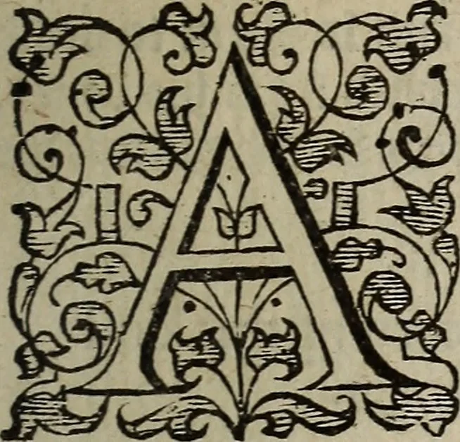 An illustration from The discouerie of witchcraft, : wherein the lewde dealing of witches and witchmongers is notablie detected, the knauerie of coniurors, the impietie of inchantors, the follie of soothsaiers, the impudent falshood of cousenors, the infidelitie of atheists, the pestilent practices of Pythonists, the curiositie of figure casters, the vanitie of dreamers, the beggerlie art of alcumystrie, the abhomination of idolatrie, the horrible art of poisoning, the vertue and power of naturall magike, and all the conueiances of legierdemaine and iuggling are deciphered: and many other things opened, which have long lien hidden, howbeit verie necessarie to be knowne. : Heerevnto is added a treatise vpon the nature and substance of spirits and diuels, & c, 1584, leaf 152