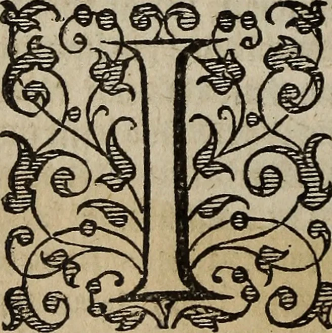 An illustration from The discouerie of witchcraft, : wherein the lewde dealing of witches and witchmongers is notablie detected, the knauerie of coniurors, the impietie of inchantors, the follie of soothsaiers, the impudent falshood of cousenors, the infidelitie of atheists, the pestilent practices of Pythonists, the curiositie of figure casters, the vanitie of dreamers, the beggerlie art of alcumystrie, the abhomination of idolatrie, the horrible art of poisoning, the vertue and power of naturall magike, and all the conueiances of legierdemaine and iuggling are deciphered: and many other things opened, which have long lien hidden, howbeit verie necessarie to be knowne. : Heerevnto is added a treatise vpon the nature and substance of spirits and diuels, & c, 1584, leaf 153