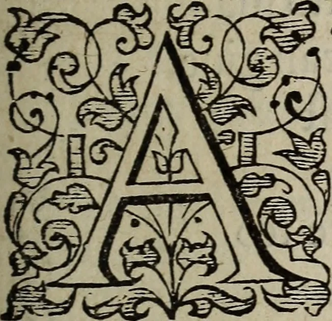 An illustration from The discouerie of witchcraft, : wherein the lewde dealing of witches and witchmongers is notablie detected, the knauerie of coniurors, the impietie of inchantors, the follie of soothsaiers, the impudent falshood of cousenors, the infidelitie of atheists, the pestilent practices of Pythonists, the curiositie of figure casters, the vanitie of dreamers, the beggerlie art of alcumystrie, the abhomination of idolatrie, the horrible art of poisoning, the vertue and power of naturall magike, and all the conueiances of legierdemaine and iuggling are deciphered: and many other things opened, which have long lien hidden, howbeit verie necessarie to be knowne. : Heerevnto is added a treatise vpon the nature and substance of spirits and diuels, & c, 1584, leaf 154