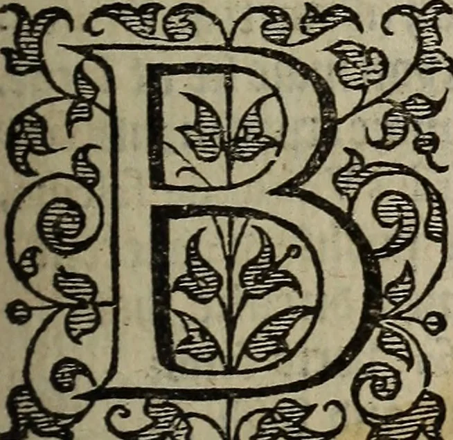 An illustration from The discouerie of witchcraft, : wherein the lewde dealing of witches and witchmongers is notablie detected, the knauerie of coniurors, the impietie of inchantors, the follie of soothsaiers, the impudent falshood of cousenors, the infidelitie of atheists, the pestilent practices of Pythonists, the curiositie of figure casters, the vanitie of dreamers, the beggerlie art of alcumystrie, the abhomination of idolatrie, the horrible art of poisoning, the vertue and power of naturall magike, and all the conueiances of legierdemaine and iuggling are deciphered: and many other things opened, which have long lien hidden, howbeit verie necessarie to be knowne. : Heerevnto is added a treatise vpon the nature and substance of spirits and diuels, & c, 1584, leaf 156