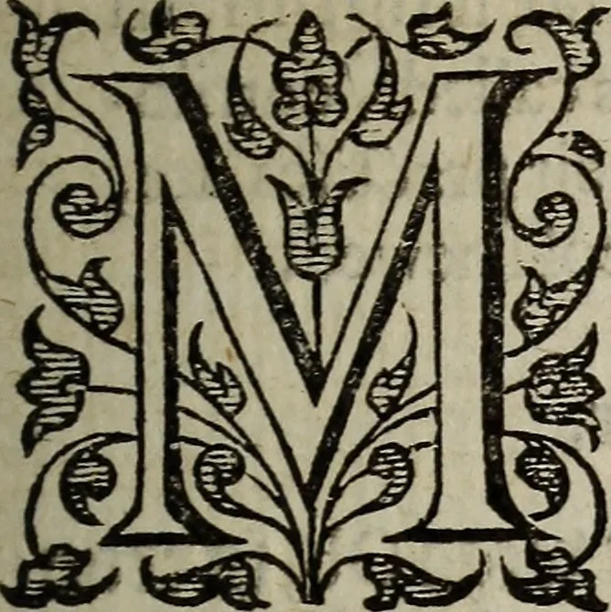 An illustration from The discouerie of witchcraft, : wherein the lewde dealing of witches and witchmongers is notablie detected, the knauerie of coniurors, the impietie of inchantors, the follie of soothsaiers, the impudent falshood of cousenors, the infidelitie of atheists, the pestilent practices of Pythonists, the curiositie of figure casters, the vanitie of dreamers, the beggerlie art of alcumystrie, the abhomination of idolatrie, the horrible art of poisoning, the vertue and power of naturall magike, and all the conueiances of legierdemaine and iuggling are deciphered: and many other things opened, which have long lien hidden, howbeit verie necessarie to be knowne. : Heerevnto is added a treatise vpon the nature and substance of spirits and diuels, & c, 1584, leaf 158