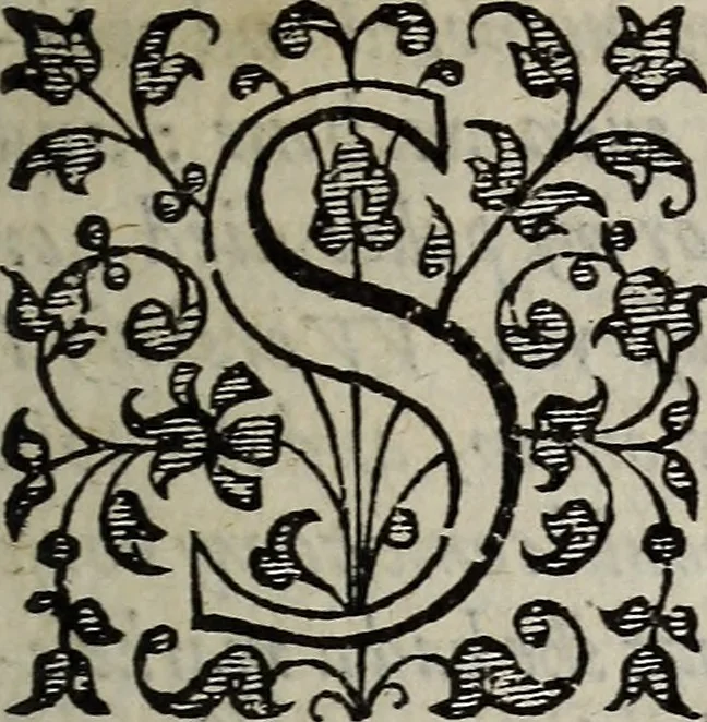 An illustration from The discouerie of witchcraft, : wherein the lewde dealing of witches and witchmongers is notablie detected, the knauerie of coniurors, the impietie of inchantors, the follie of soothsaiers, the impudent falshood of cousenors, the infidelitie of atheists, the pestilent practices of Pythonists, the curiositie of figure casters, the vanitie of dreamers, the beggerlie art of alcumystrie, the abhomination of idolatrie, the horrible art of poisoning, the vertue and power of naturall magike, and all the conueiances of legierdemaine and iuggling are deciphered: and many other things opened, which have long lien hidden, howbeit verie necessarie to be knowne. : Heerevnto is added a treatise vpon the nature and substance of spirits and diuels, & c, 1584, leaf 16