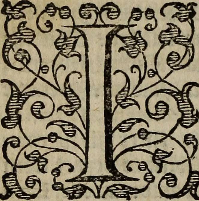 An illustration from The discouerie of witchcraft, : wherein the lewde dealing of witches and witchmongers is notablie detected, the knauerie of coniurors, the impietie of inchantors, the follie of soothsaiers, the impudent falshood of cousenors, the infidelitie of atheists, the pestilent practices of Pythonists, the curiositie of figure casters, the vanitie of dreamers, the beggerlie art of alcumystrie, the abhomination of idolatrie, the horrible art of poisoning, the vertue and power of naturall magike, and all the conueiances of legierdemaine and iuggling are deciphered: and many other things opened, which have long lien hidden, howbeit verie necessarie to be knowne. : Heerevnto is added a treatise vpon the nature and substance of spirits and diuels, & c, 1584, leaf 163