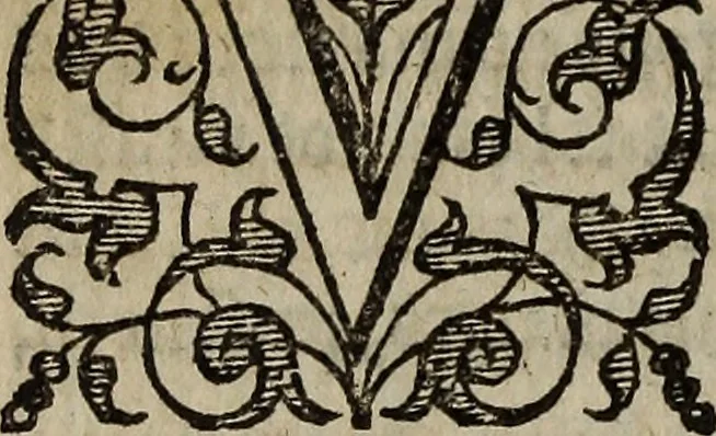 An illustration from The discouerie of witchcraft, : wherein the lewde dealing of witches and witchmongers is notablie detected, the knauerie of coniurors, the impietie of inchantors, the follie of soothsaiers, the impudent falshood of cousenors, the infidelitie of atheists, the pestilent practices of Pythonists, the curiositie of figure casters, the vanitie of dreamers, the beggerlie art of alcumystrie, the abhomination of idolatrie, the horrible art of poisoning, the vertue and power of naturall magike, and all the conueiances of legierdemaine and iuggling are deciphered: and many other things opened, which have long lien hidden, howbeit verie necessarie to be knowne. : Heerevnto is added a treatise vpon the nature and substance of spirits and diuels, & c, 1584, leaf 165