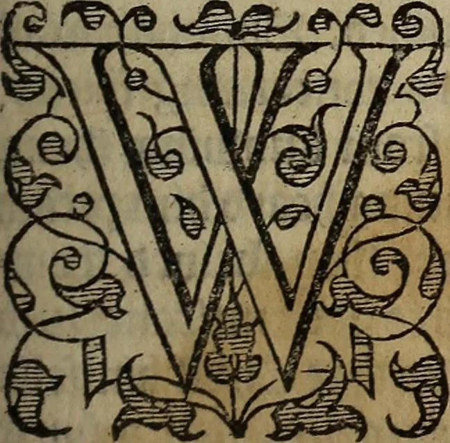 An illustration from The discouerie of witchcraft, : wherein the lewde dealing of witches and witchmongers is notablie detected, the knauerie of coniurors, the impietie of inchantors, the follie of soothsaiers, the impudent falshood of cousenors, the infidelitie of atheists, the pestilent practices of Pythonists, the curiositie of figure casters, the vanitie of dreamers, the beggerlie art of alcumystrie, the abhomination of idolatrie, the horrible art of poisoning, the vertue and power of naturall magike, and all the conueiances of legierdemaine and iuggling are deciphered: and many other things opened, which have long lien hidden, howbeit verie necessarie to be knowne. : Heerevnto is added a treatise vpon the nature and substance of spirits and diuels, & c, 1584, leaf 166