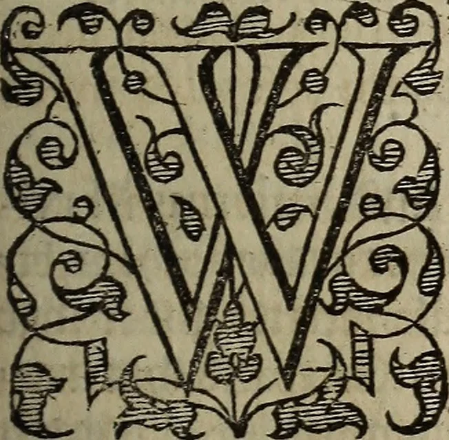 An illustration from The discouerie of witchcraft, : wherein the lewde dealing of witches and witchmongers is notablie detected, the knauerie of coniurors, the impietie of inchantors, the follie of soothsaiers, the impudent falshood of cousenors, the infidelitie of atheists, the pestilent practices of Pythonists, the curiositie of figure casters, the vanitie of dreamers, the beggerlie art of alcumystrie, the abhomination of idolatrie, the horrible art of poisoning, the vertue and power of naturall magike, and all the conueiances of legierdemaine and iuggling are deciphered: and many other things opened, which have long lien hidden, howbeit verie necessarie to be knowne. : Heerevnto is added a treatise vpon the nature and substance of spirits and diuels, & c, 1584, leaf 170
