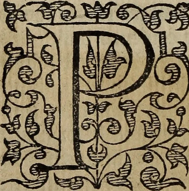 An illustration from The discouerie of witchcraft, : wherein the lewde dealing of witches and witchmongers is notablie detected, the knauerie of coniurors, the impietie of inchantors, the follie of soothsaiers, the impudent falshood of cousenors, the infidelitie of atheists, the pestilent practices of Pythonists, the curiositie of figure casters, the vanitie of dreamers, the beggerlie art of alcumystrie, the abhomination of idolatrie, the horrible art of poisoning, the vertue and power of naturall magike, and all the conueiances of legierdemaine and iuggling are deciphered: and many other things opened, which have long lien hidden, howbeit verie necessarie to be knowne. : Heerevnto is added a treatise vpon the nature and substance of spirits and diuels, & c, 1584, leaf 171