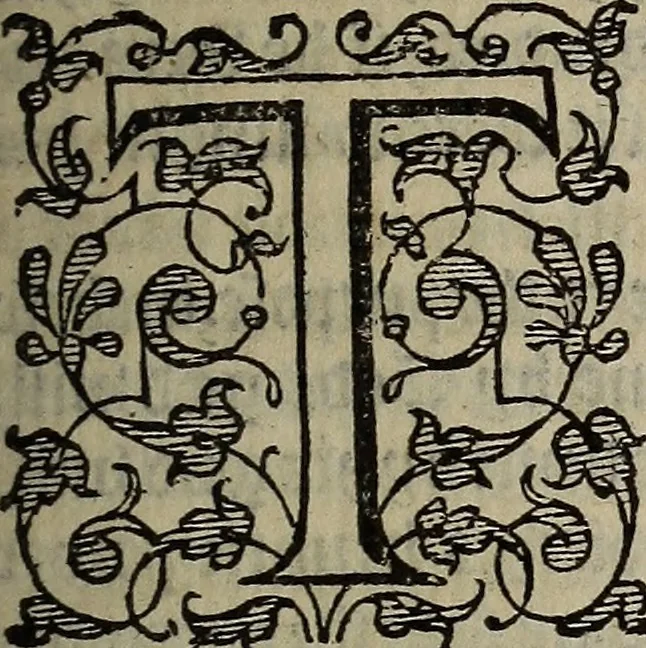An illustration from The discouerie of witchcraft, : wherein the lewde dealing of witches and witchmongers is notablie detected, the knauerie of coniurors, the impietie of inchantors, the follie of soothsaiers, the impudent falshood of cousenors, the infidelitie of atheists, the pestilent practices of Pythonists, the curiositie of figure casters, the vanitie of dreamers, the beggerlie art of alcumystrie, the abhomination of idolatrie, the horrible art of poisoning, the vertue and power of naturall magike, and all the conueiances of legierdemaine and iuggling are deciphered: and many other things opened, which have long lien hidden, howbeit verie necessarie to be knowne. : Heerevnto is added a treatise vpon the nature and substance of spirits and diuels, & c, 1584, leaf 172