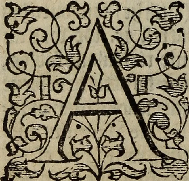 An illustration from The discouerie of witchcraft, : wherein the lewde dealing of witches and witchmongers is notablie detected, the knauerie of coniurors, the impietie of inchantors, the follie of soothsaiers, the impudent falshood of cousenors, the infidelitie of atheists, the pestilent practices of Pythonists, the curiositie of figure casters, the vanitie of dreamers, the beggerlie art of alcumystrie, the abhomination of idolatrie, the horrible art of poisoning, the vertue and power of naturall magike, and all the conueiances of legierdemaine and iuggling are deciphered: and many other things opened, which have long lien hidden, howbeit verie necessarie to be knowne. : Heerevnto is added a treatise vpon the nature and substance of spirits and diuels, & c, 1584, leaf 175