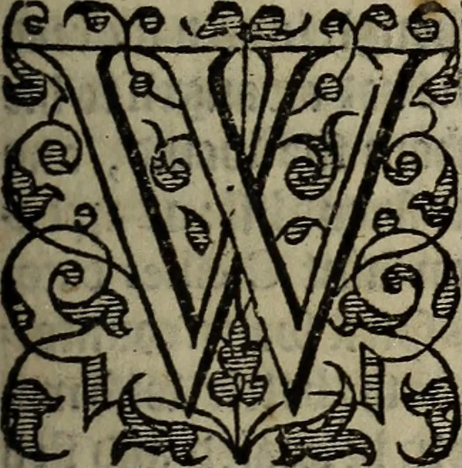 An illustration from The discouerie of witchcraft, : wherein the lewde dealing of witches and witchmongers is notablie detected, the knauerie of coniurors, the impietie of inchantors, the follie of soothsaiers, the impudent falshood of cousenors, the infidelitie of atheists, the pestilent practices of Pythonists, the curiositie of figure casters, the vanitie of dreamers, the beggerlie art of alcumystrie, the abhomination of idolatrie, the horrible art of poisoning, the vertue and power of naturall magike, and all the conueiances of legierdemaine and iuggling are deciphered: and many other things opened, which have long lien hidden, howbeit verie necessarie to be knowne. : Heerevnto is added a treatise vpon the nature and substance of spirits and diuels, & c, 1584, leaf 176