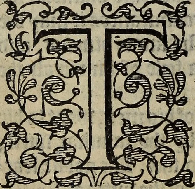 An illustration from The discouerie of witchcraft, : wherein the lewde dealing of witches and witchmongers is notablie detected, the knauerie of coniurors, the impietie of inchantors, the follie of soothsaiers, the impudent falshood of cousenors, the infidelitie of atheists, the pestilent practices of Pythonists, the curiositie of figure casters, the vanitie of dreamers, the beggerlie art of alcumystrie, the abhomination of idolatrie, the horrible art of poisoning, the vertue and power of naturall magike, and all the conueiances of legierdemaine and iuggling are deciphered: and many other things opened, which have long lien hidden, howbeit verie necessarie to be knowne. : Heerevnto is added a treatise vpon the nature and substance of spirits and diuels, & c, 1584, leaf 179