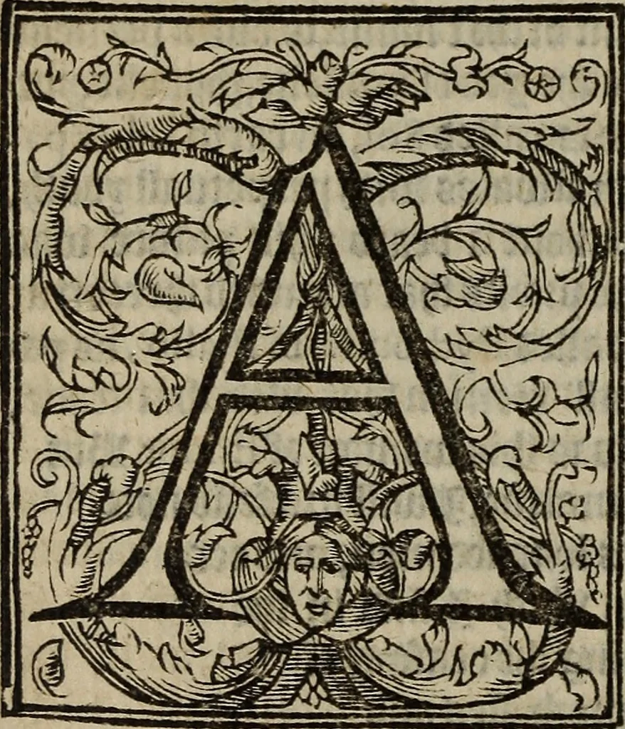An illustration from The discouerie of witchcraft, : wherein the lewde dealing of witches and witchmongers is notablie detected, the knauerie of coniurors, the impietie of inchantors, the follie of soothsaiers, the impudent falshood of cousenors, the infidelitie of atheists, the pestilent practices of Pythonists, the curiositie of figure casters, the vanitie of dreamers, the beggerlie art of alcumystrie, the abhomination of idolatrie, the horrible art of poisoning, the vertue and power of naturall magike, and all the conueiances of legierdemaine and iuggling are deciphered: and many other things opened, which have long lien hidden, howbeit verie necessarie to be knowne. : Heerevnto is added a treatise vpon the nature and substance of spirits and diuels, & c, 1584, leaf 189