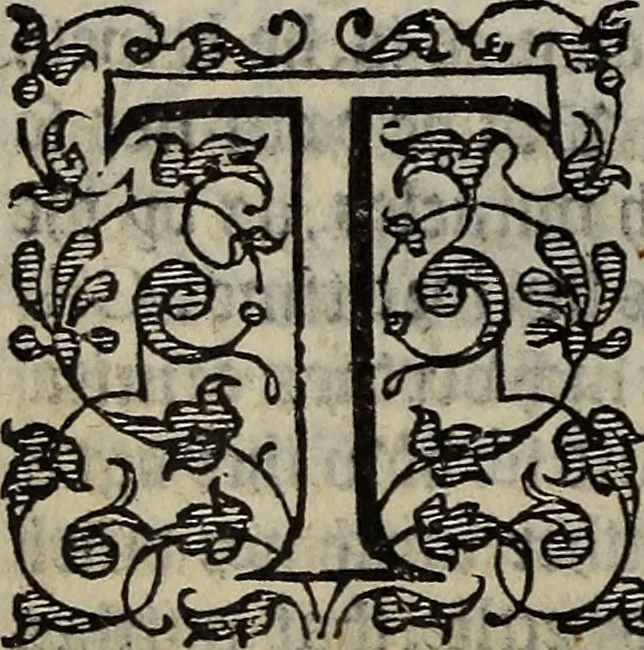 An illustration from The discouerie of witchcraft, : wherein the lewde dealing of witches and witchmongers is notablie detected, the knauerie of coniurors, the impietie of inchantors, the follie of soothsaiers, the impudent falshood of cousenors, the infidelitie of atheists, the pestilent practices of Pythonists, the curiositie of figure casters, the vanitie of dreamers, the beggerlie art of alcumystrie, the abhomination of idolatrie, the horrible art of poisoning, the vertue and power of naturall magike, and all the conueiances of legierdemaine and iuggling are deciphered: and many other things opened, which have long lien hidden, howbeit verie necessarie to be knowne. : Heerevnto is added a treatise vpon the nature and substance of spirits and diuels, & c, 1584, leaf 191