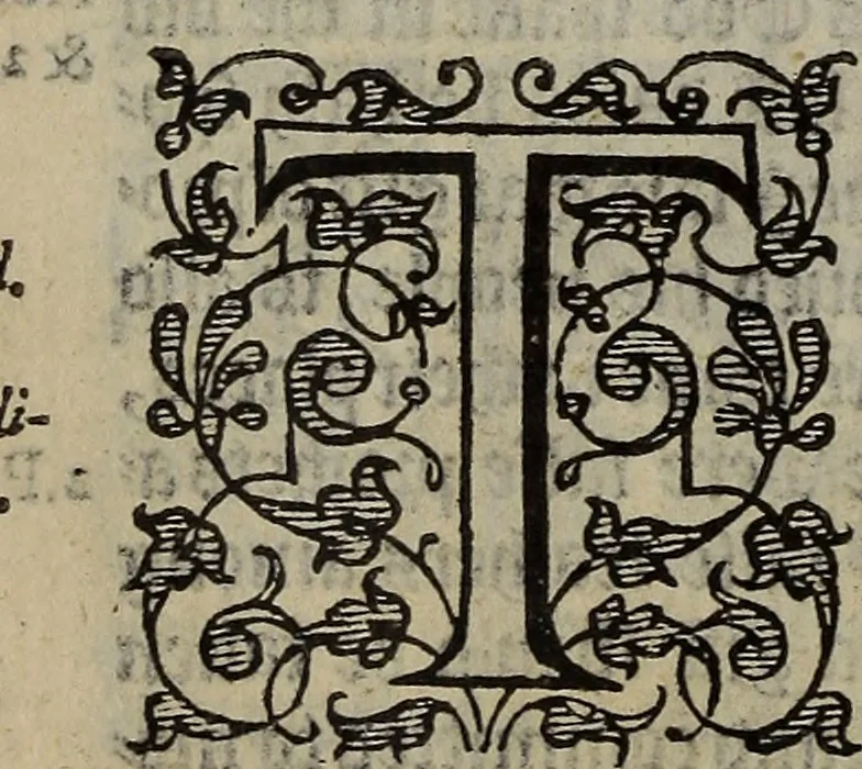 An illustration from The discouerie of witchcraft, : wherein the lewde dealing of witches and witchmongers is notablie detected, the knauerie of coniurors, the impietie of inchantors, the follie of soothsaiers, the impudent falshood of cousenors, the infidelitie of atheists, the pestilent practices of Pythonists, the curiositie of figure casters, the vanitie of dreamers, the beggerlie art of alcumystrie, the abhomination of idolatrie, the horrible art of poisoning, the vertue and power of naturall magike, and all the conueiances of legierdemaine and iuggling are deciphered: and many other things opened, which have long lien hidden, howbeit verie necessarie to be knowne. : Heerevnto is added a treatise vpon the nature and substance of spirits and diuels, & c, 1584, leaf 193