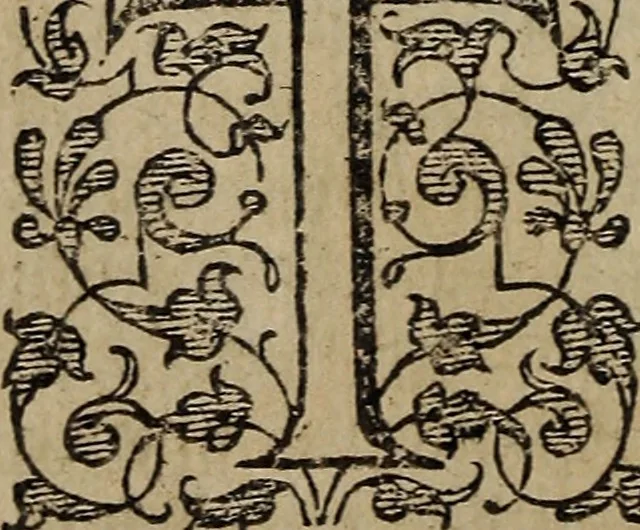 An illustration from The discouerie of witchcraft, : wherein the lewde dealing of witches and witchmongers is notablie detected, the knauerie of coniurors, the impietie of inchantors, the follie of soothsaiers, the impudent falshood of cousenors, the infidelitie of atheists, the pestilent practices of Pythonists, the curiositie of figure casters, the vanitie of dreamers, the beggerlie art of alcumystrie, the abhomination of idolatrie, the horrible art of poisoning, the vertue and power of naturall magike, and all the conueiances of legierdemaine and iuggling are deciphered: and many other things opened, which have long lien hidden, howbeit verie necessarie to be knowne. : Heerevnto is added a treatise vpon the nature and substance of spirits and diuels, & c, 1584, leaf 197