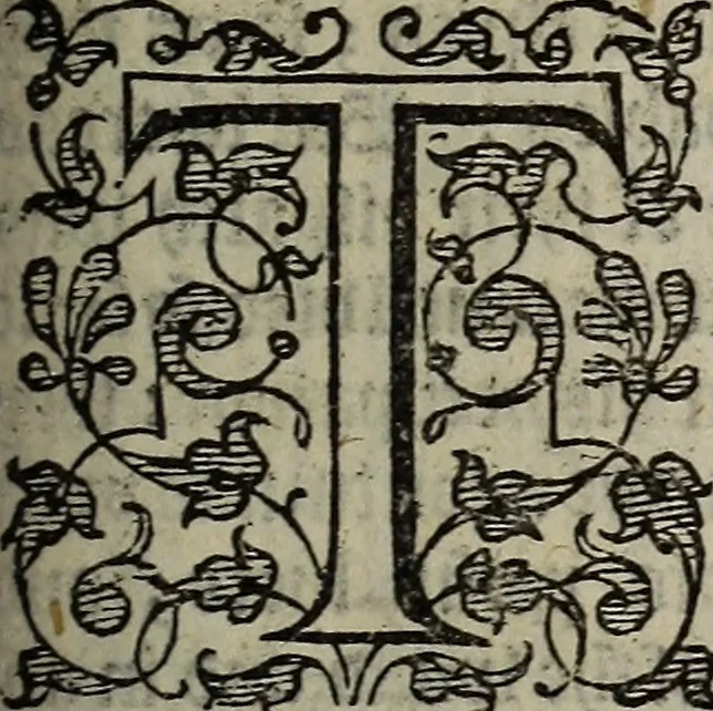 An illustration from The discouerie of witchcraft, : wherein the lewde dealing of witches and witchmongers is notablie detected, the knauerie of coniurors, the impietie of inchantors, the follie of soothsaiers, the impudent falshood of cousenors, the infidelitie of atheists, the pestilent practices of Pythonists, the curiositie of figure casters, the vanitie of dreamers, the beggerlie art of alcumystrie, the abhomination of idolatrie, the horrible art of poisoning, the vertue and power of naturall magike, and all the conueiances of legierdemaine and iuggling are deciphered: and many other things opened, which have long lien hidden, howbeit verie necessarie to be knowne. : Heerevnto is added a treatise vpon the nature and substance of spirits and diuels, & c, 1584, leaf 198