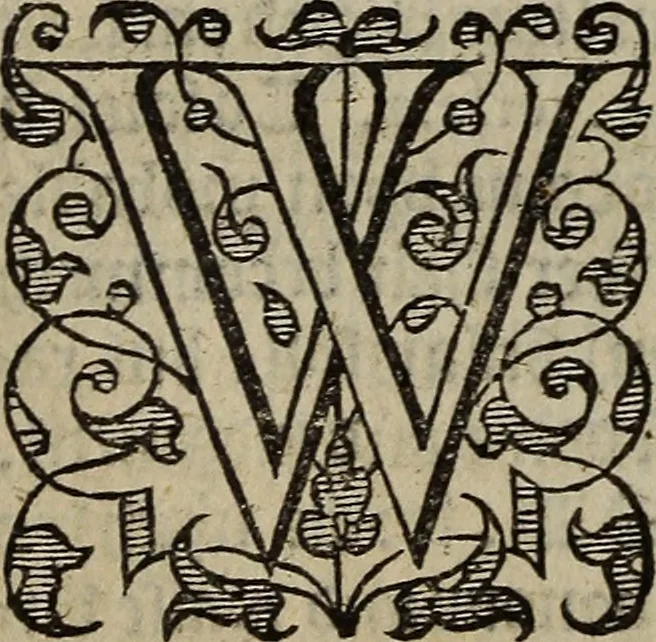 An illustration from The discouerie of witchcraft, : wherein the lewde dealing of witches and witchmongers is notablie detected, the knauerie of coniurors, the impietie of inchantors, the follie of soothsaiers, the impudent falshood of cousenors, the infidelitie of atheists, the pestilent practices of Pythonists, the curiositie of figure casters, the vanitie of dreamers, the beggerlie art of alcumystrie, the abhomination of idolatrie, the horrible art of poisoning, the vertue and power of naturall magike, and all the conueiances of legierdemaine and iuggling are deciphered: and many other things opened, which have long lien hidden, howbeit verie necessarie to be knowne. : Heerevnto is added a treatise vpon the nature and substance of spirits and diuels, & c, 1584, leaf 201