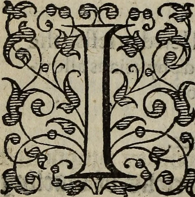 An illustration from The discouerie of witchcraft, : wherein the lewde dealing of witches and witchmongers is notablie detected, the knauerie of coniurors, the impietie of inchantors, the follie of soothsaiers, the impudent falshood of cousenors, the infidelitie of atheists, the pestilent practices of Pythonists, the curiositie of figure casters, the vanitie of dreamers, the beggerlie art of alcumystrie, the abhomination of idolatrie, the horrible art of poisoning, the vertue and power of naturall magike, and all the conueiances of legierdemaine and iuggling are deciphered: and many other things opened, which have long lien hidden, howbeit verie necessarie to be knowne. : Heerevnto is added a treatise vpon the nature and substance of spirits and diuels, & c, 1584, leaf 205