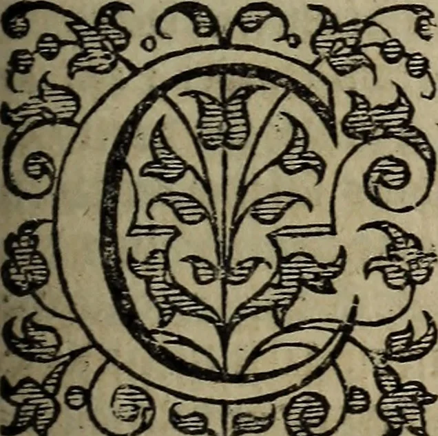 An illustration from The discouerie of witchcraft, : wherein the lewde dealing of witches and witchmongers is notablie detected, the knauerie of coniurors, the impietie of inchantors, the follie of soothsaiers, the impudent falshood of cousenors, the infidelitie of atheists, the pestilent practices of Pythonists, the curiositie of figure casters, the vanitie of dreamers, the beggerlie art of alcumystrie, the abhomination of idolatrie, the horrible art of poisoning, the vertue and power of naturall magike, and all the conueiances of legierdemaine and iuggling are deciphered: and many other things opened, which have long lien hidden, howbeit verie necessarie to be knowne. : Heerevnto is added a treatise vpon the nature and substance of spirits and diuels, & c, 1584, leaf 206