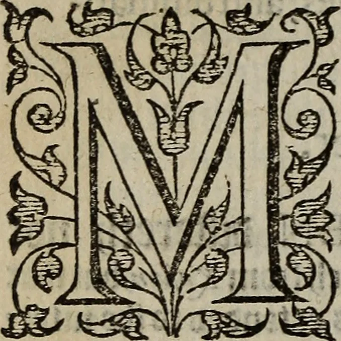 An illustration from The discouerie of witchcraft, : wherein the lewde dealing of witches and witchmongers is notablie detected, the knauerie of coniurors, the impietie of inchantors, the follie of soothsaiers, the impudent falshood of cousenors, the infidelitie of atheists, the pestilent practices of Pythonists, the curiositie of figure casters, the vanitie of dreamers, the beggerlie art of alcumystrie, the abhomination of idolatrie, the horrible art of poisoning, the vertue and power of naturall magike, and all the conueiances of legierdemaine and iuggling are deciphered: and many other things opened, which have long lien hidden, howbeit verie necessarie to be knowne. : Heerevnto is added a treatise vpon the nature and substance of spirits and diuels, & c, 1584, leaf 211