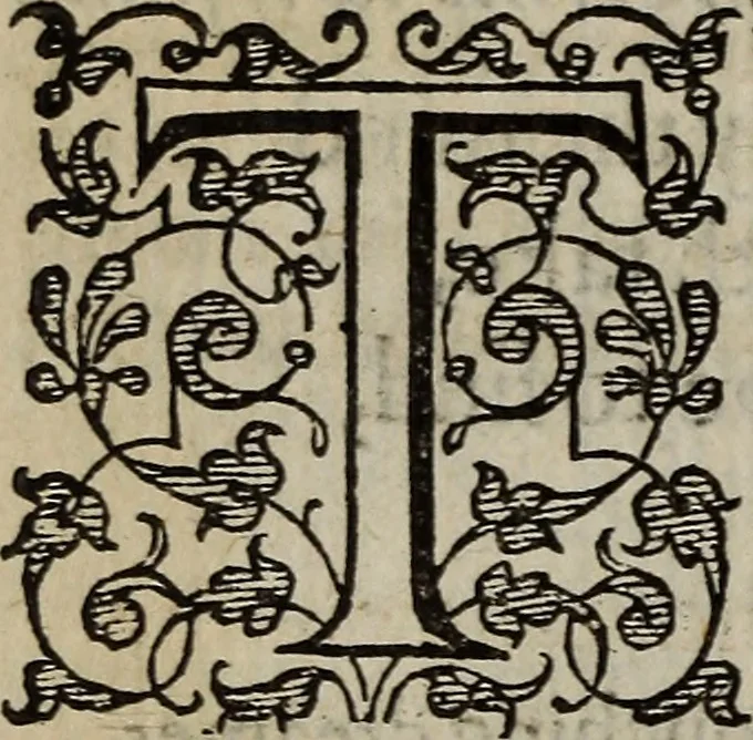 An illustration from The discouerie of witchcraft, : wherein the lewde dealing of witches and witchmongers is notablie detected, the knauerie of coniurors, the impietie of inchantors, the follie of soothsaiers, the impudent falshood of cousenors, the infidelitie of atheists, the pestilent practices of Pythonists, the curiositie of figure casters, the vanitie of dreamers, the beggerlie art of alcumystrie, the abhomination of idolatrie, the horrible art of poisoning, the vertue and power of naturall magike, and all the conueiances of legierdemaine and iuggling are deciphered: and many other things opened, which have long lien hidden, howbeit verie necessarie to be knowne. : Heerevnto is added a treatise vpon the nature and substance of spirits and diuels, & c, 1584, leaf 213
