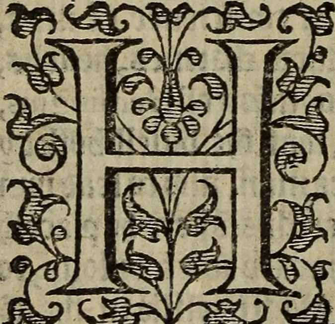 An illustration from The discouerie of witchcraft, : wherein the lewde dealing of witches and witchmongers is notablie detected, the knauerie of coniurors, the impietie of inchantors, the follie of soothsaiers, the impudent falshood of cousenors, the infidelitie of atheists, the pestilent practices of Pythonists, the curiositie of figure casters, the vanitie of dreamers, the beggerlie art of alcumystrie, the abhomination of idolatrie, the horrible art of poisoning, the vertue and power of naturall magike, and all the conueiances of legierdemaine and iuggling are deciphered: and many other things opened, which have long lien hidden, howbeit verie necessarie to be knowne. : Heerevnto is added a treatise vpon the nature and substance of spirits and diuels, & c, 1584, leaf 215
