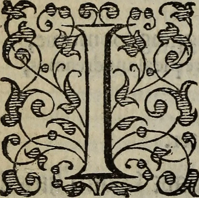 An illustration from The discouerie of witchcraft, : wherein the lewde dealing of witches and witchmongers is notablie detected, the knauerie of coniurors, the impietie of inchantors, the follie of soothsaiers, the impudent falshood of cousenors, the infidelitie of atheists, the pestilent practices of Pythonists, the curiositie of figure casters, the vanitie of dreamers, the beggerlie art of alcumystrie, the abhomination of idolatrie, the horrible art of poisoning, the vertue and power of naturall magike, and all the conueiances of legierdemaine and iuggling are deciphered: and many other things opened, which have long lien hidden, howbeit verie necessarie to be knowne. : Heerevnto is added a treatise vpon the nature and substance of spirits and diuels, & c, 1584, leaf 217