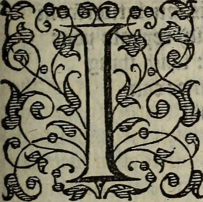 An illustration from The discouerie of witchcraft, : wherein the lewde dealing of witches and witchmongers is notablie detected, the knauerie of coniurors, the impietie of inchantors, the follie of soothsaiers, the impudent falshood of cousenors, the infidelitie of atheists, the pestilent practices of Pythonists, the curiositie of figure casters, the vanitie of dreamers, the beggerlie art of alcumystrie, the abhomination of idolatrie, the horrible art of poisoning, the vertue and power of naturall magike, and all the conueiances of legierdemaine and iuggling are deciphered: and many other things opened, which have long lien hidden, howbeit verie necessarie to be knowne. : Heerevnto is added a treatise vpon the nature and substance of spirits and diuels, & c, 1584, leaf 220
