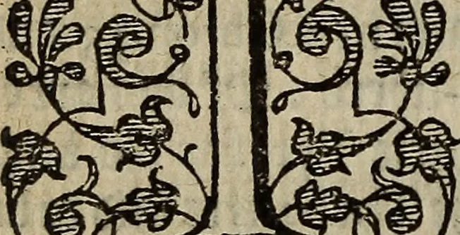An illustration from The discouerie of witchcraft, : wherein the lewde dealing of witches and witchmongers is notablie detected, the knauerie of coniurors, the impietie of inchantors, the follie of soothsaiers, the impudent falshood of cousenors, the infidelitie of atheists, the pestilent practices of Pythonists, the curiositie of figure casters, the vanitie of dreamers, the beggerlie art of alcumystrie, the abhomination of idolatrie, the horrible art of poisoning, the vertue and power of naturall magike, and all the conueiances of legierdemaine and iuggling are deciphered: and many other things opened, which have long lien hidden, howbeit verie necessarie to be knowne. : Heerevnto is added a treatise vpon the nature and substance of spirits and diuels, & c, 1584, leaf 223