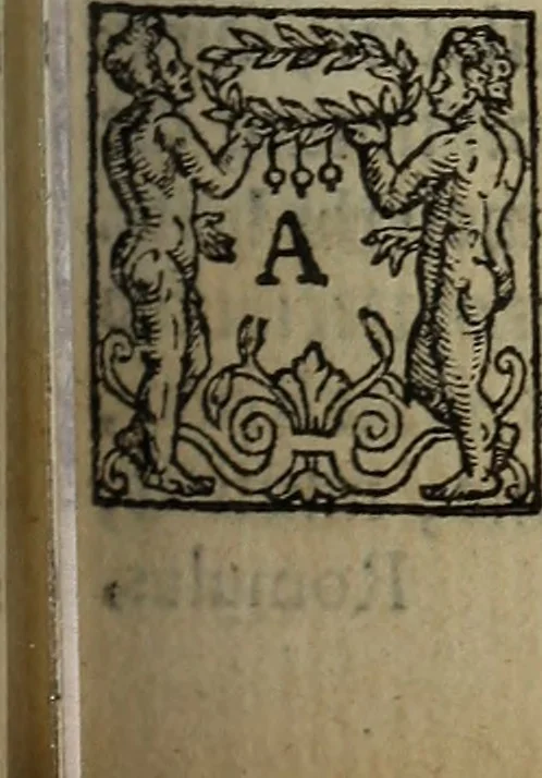 An illustration from The discouerie of witchcraft, : wherein the lewde dealing of witches and witchmongers is notablie detected, the knauerie of coniurors, the impietie of inchantors, the follie of soothsaiers, the impudent falshood of cousenors, the infidelitie of atheists, the pestilent practices of Pythonists, the curiositie of figure casters, the vanitie of dreamers, the beggerlie art of alcumystrie, the abhomination of idolatrie, the horrible art of poisoning, the vertue and power of naturall magike, and all the conueiances of legierdemaine and iuggling are deciphered: and many other things opened, which have long lien hidden, howbeit verie necessarie to be knowne. : Heerevnto is added a treatise vpon the nature and substance of spirits and diuels, & c, 1584, leaf 224