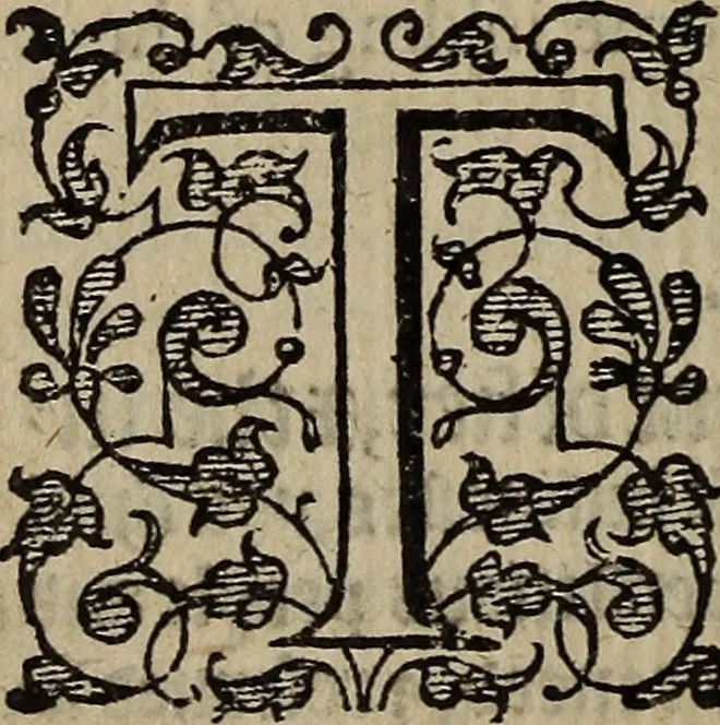 An illustration from The discouerie of witchcraft, : wherein the lewde dealing of witches and witchmongers is notablie detected, the knauerie of coniurors, the impietie of inchantors, the follie of soothsaiers, the impudent falshood of cousenors, the infidelitie of atheists, the pestilent practices of Pythonists, the curiositie of figure casters, the vanitie of dreamers, the beggerlie art of alcumystrie, the abhomination of idolatrie, the horrible art of poisoning, the vertue and power of naturall magike, and all the conueiances of legierdemaine and iuggling are deciphered: and many other things opened, which have long lien hidden, howbeit verie necessarie to be knowne. : Heerevnto is added a treatise vpon the nature and substance of spirits and diuels, & c, 1584, leaf 225