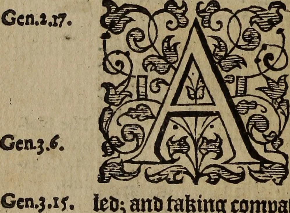 An illustration from The discouerie of witchcraft, : wherein the lewde dealing of witches and witchmongers is notablie detected, the knauerie of coniurors, the impietie of inchantors, the follie of soothsaiers, the impudent falshood of cousenors, the infidelitie of atheists, the pestilent practices of Pythonists, the curiositie of figure casters, the vanitie of dreamers, the beggerlie art of alcumystrie, the abhomination of idolatrie, the horrible art of poisoning, the vertue and power of naturall magike, and all the conueiances of legierdemaine and iuggling are deciphered: and many other things opened, which have long lien hidden, howbeit verie necessarie to be knowne. : Heerevnto is added a treatise vpon the nature and substance of spirits and diuels, & c, 1584, leaf 233