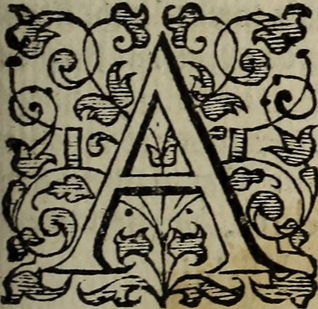 An illustration from The discouerie of witchcraft, : wherein the lewde dealing of witches and witchmongers is notablie detected, the knauerie of coniurors, the impietie of inchantors, the follie of soothsaiers, the impudent falshood of cousenors, the infidelitie of atheists, the pestilent practices of Pythonists, the curiositie of figure casters, the vanitie of dreamers, the beggerlie art of alcumystrie, the abhomination of idolatrie, the horrible art of poisoning, the vertue and power of naturall magike, and all the conueiances of legierdemaine and iuggling are deciphered: and many other things opened, which have long lien hidden, howbeit verie necessarie to be knowne. : Heerevnto is added a treatise vpon the nature and substance of spirits and diuels, & c, 1584, leaf 236