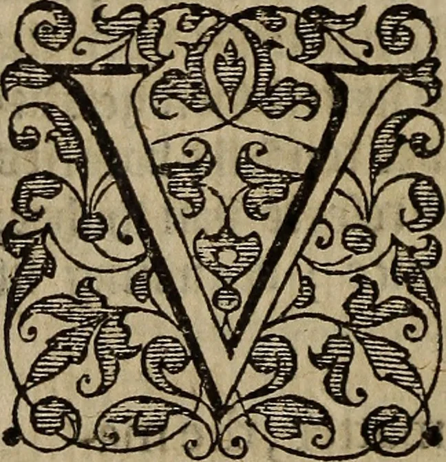 An illustration from The discouerie of witchcraft, : wherein the lewde dealing of witches and witchmongers is notablie detected, the knauerie of coniurors, the impietie of inchantors, the follie of soothsaiers, the impudent falshood of cousenors, the infidelitie of atheists, the pestilent practices of Pythonists, the curiositie of figure casters, the vanitie of dreamers, the beggerlie art of alcumystrie, the abhomination of idolatrie, the horrible art of poisoning, the vertue and power of naturall magike, and all the conueiances of legierdemaine and iuggling are deciphered: and many other things opened, which have long lien hidden, howbeit verie necessarie to be knowne. : Heerevnto is added a treatise vpon the nature and substance of spirits and diuels, & c, 1584, leaf 239